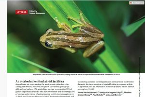 WhatsApp Image 2026-04-09 at 16.34.42