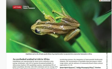 WhatsApp Image 2026-04-09 at 16.34.42